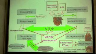 Антигипертензивные 3 часть С Ю Штрыголь