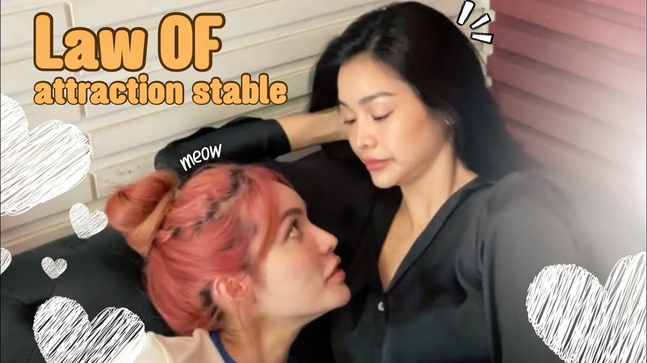 Law OF attraction stable | อิงฟ้า & ชาล็อต #อิงล็อต