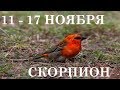 СКОРПИОН ТАРО ПРОГНОЗ 11-17 НОЯБРЯ 2019
