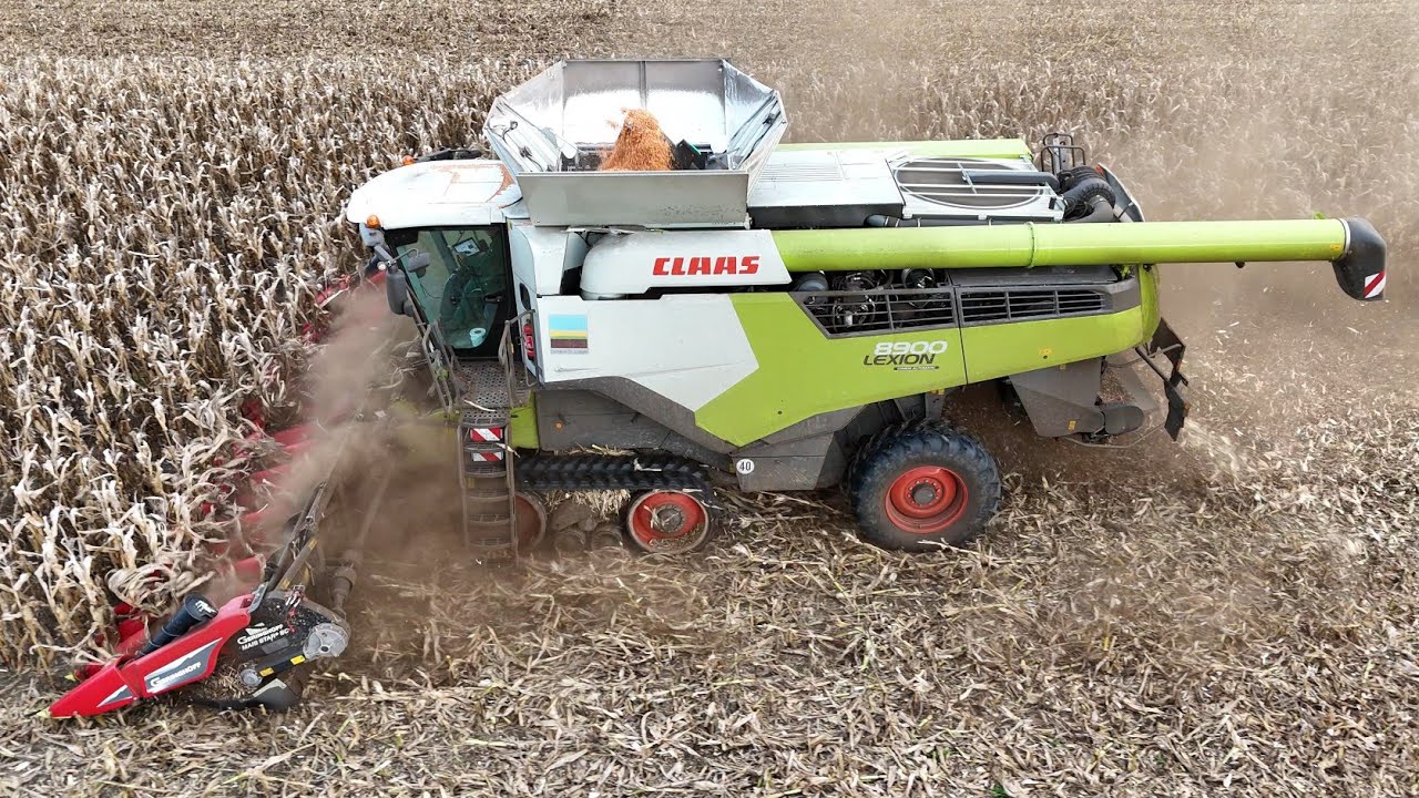 CLAAS LEXION 8900TT во время уборки кукурузы на зерно / JOHN DEERE 8335R / 4K-тягач