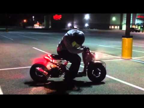 Honda Ruckus Burnout