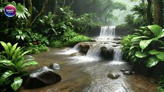 Meditation relaxing mind stream water flow sound with stable nature.मन की शांति.