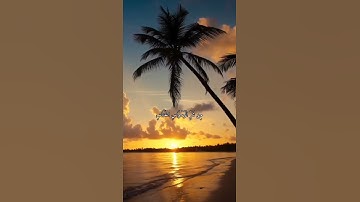 واتس اب قران كريم القارئ سعد الغامدي  سورة (الناس)