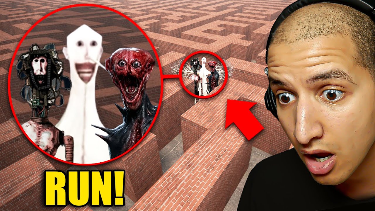 I Found DOCTOR NOWHERE Monsters in a MAZE...