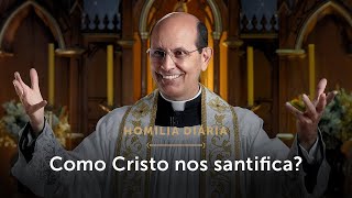 Homilia Diária | Como somos santificados por Cristo? (Quarta-feira da 7.ª Semana da Páscoa)