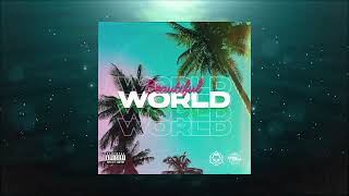 Beautiful World - Dakso Prod. Tantu Beats X Dakso