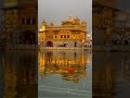 Sa Dharti Pai Haryavali | Golden Temple Whatsaap Status Video  tranding video #shorts