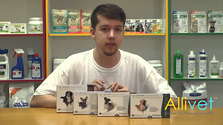 Revolution for Dogs | Allivet Video