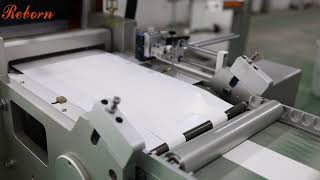 Shenzhen Reborn Die Cutter Conveyor With Matrix Rewinder