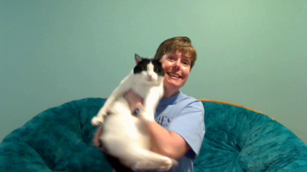 Book Review - The Operator by Gretchen Berg