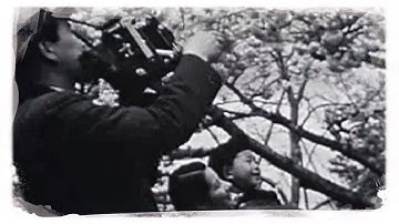 Geraldine Kwik - 35°30