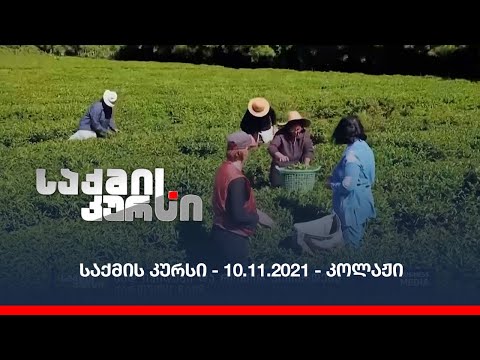 საქმის კურსი -- 10.11.2021 - კოლაჟი