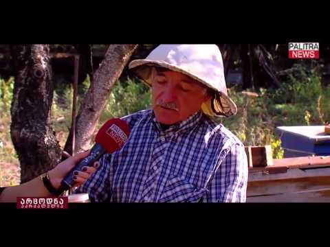 არ მოტყუვდეთ, ამის საშუალებით თქვენ ნამდვილად გაარჩევთ ნატურალურ თაფლს ფალსიფიცირებულისგან