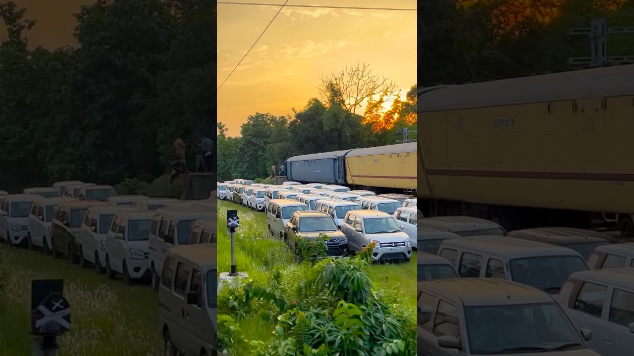 Car Unloading From NMG Train 
