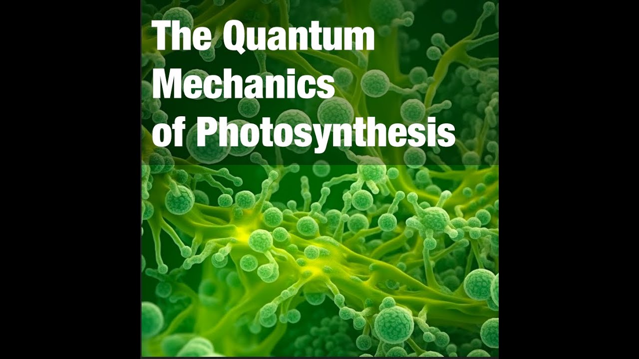 Quantum Mechanics- Intro Through Biology - YouTube