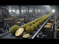 Inside a Modern Thai Jackfruit Processing Factory | Full Process