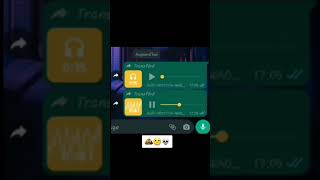 Audio WhatsApp maroc dahk