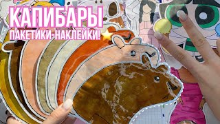 ⭐️Capybaras⭐️Paper Surprises 🌸Unboxing~Marinka D