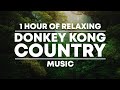 1 Hour of Relaxing &#39;Donkey Kong Country&#39; Music