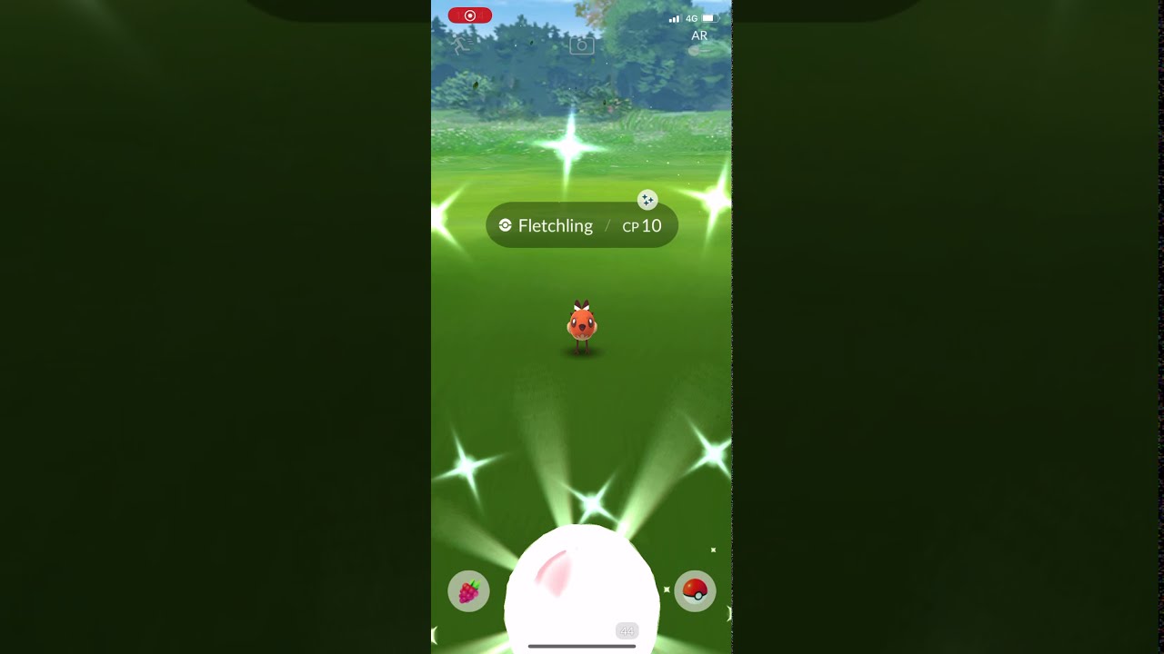 POKÉMON GO | FLETCHLING Community Day! 