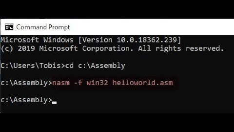 NASM: How to compile file & run