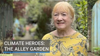 Climate Heroes: Belfast alley garden inspires greening of urban spaces