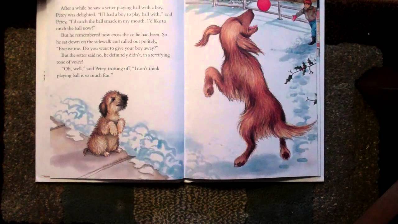 Puppy who wanted a boy