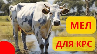 МЕЛ, МОНОКАЛЬЦИЙФОСФАТ, ТРИКАЛЬЦИЙФОСФАТ для КРС