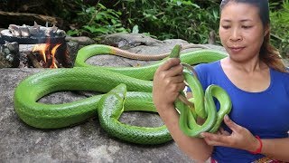 Find And Meet Green Snake For Food In The Jungle - Cooking Snake Recipe Eat Delicious
