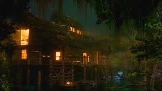 Night Swamp Sounds | Frogs, Crickets, Owls, Forest Nature Sounds | Swamp Ambience