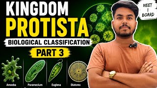 biological classification part 3 kingdom protista