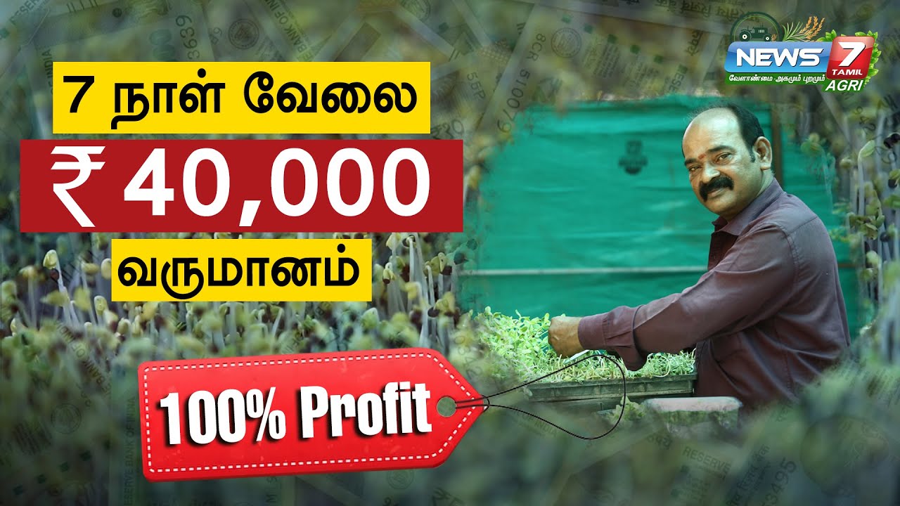 வெறும் 10-க்கு 10 இடத்தில் Microgreens வளர்த்து அசத்தும் விவசாயி | Business Ideas Tamil