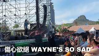 傷心欲絕 Wayne's So Sad - 台北流浪指南 Wanderer Guide In Taipei | 台灣祭 Taiwan Music Festival 2024/04/06