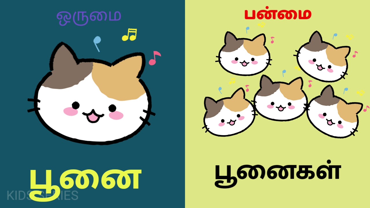 singular-and-plural-learning-tamil-youtube
