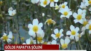 Volkanik Haydarlar Gölü'nde Bahar Şöleni