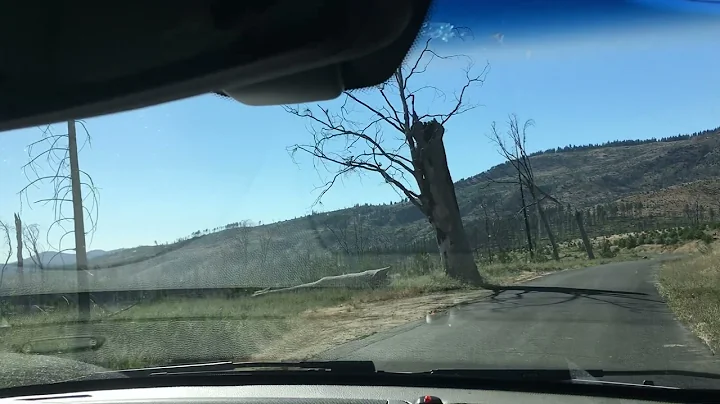 Cherry Lake Road July 2020