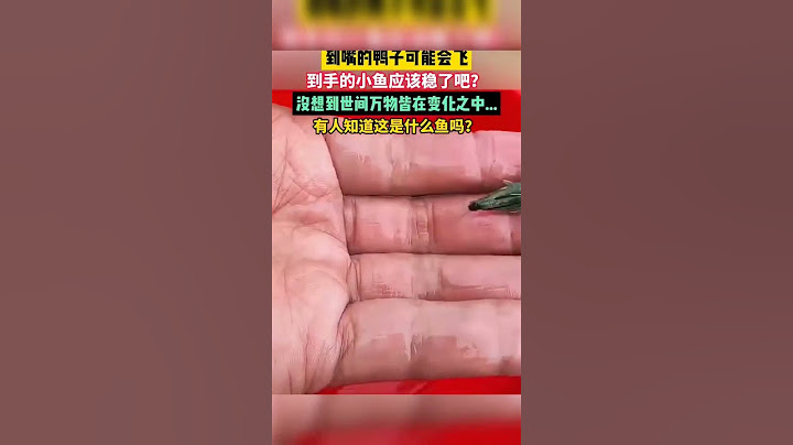 煮熟的鸭子飞不了，到手的小鱼飞走了#shorts