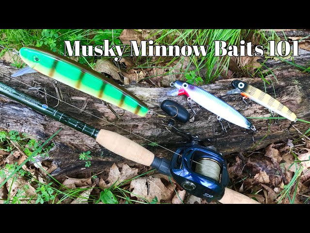Musky Minnow Baits 101 - YouTube