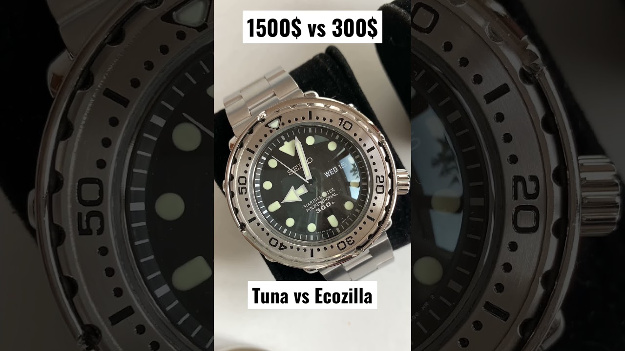 1500$ vs 300$ Diver Watches. Seiko Tuna head to head with Citizen Ecozilla. 