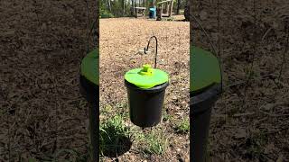 Fly Trap - Rescue Bucket Top Fly Trap