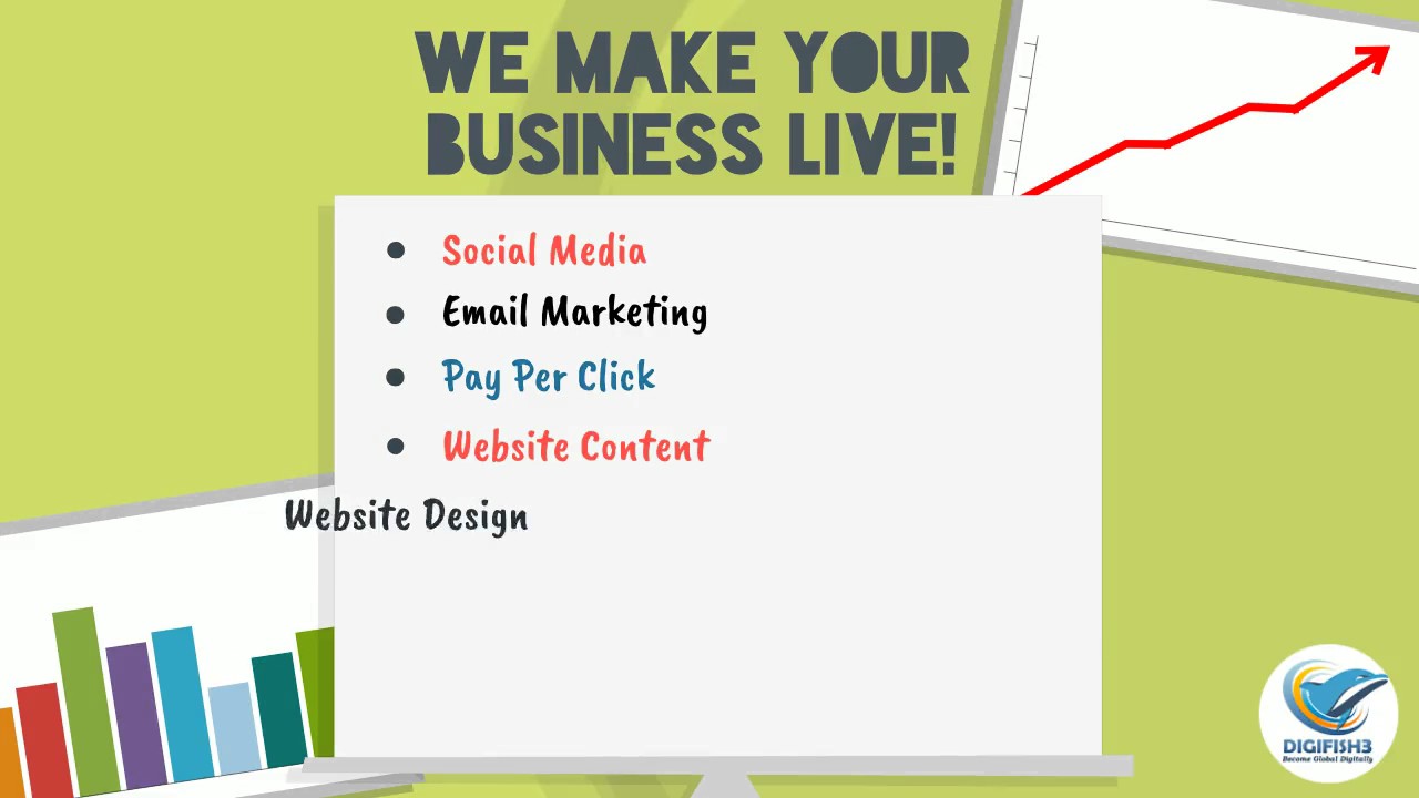 Digifish3- Drive your Business forward