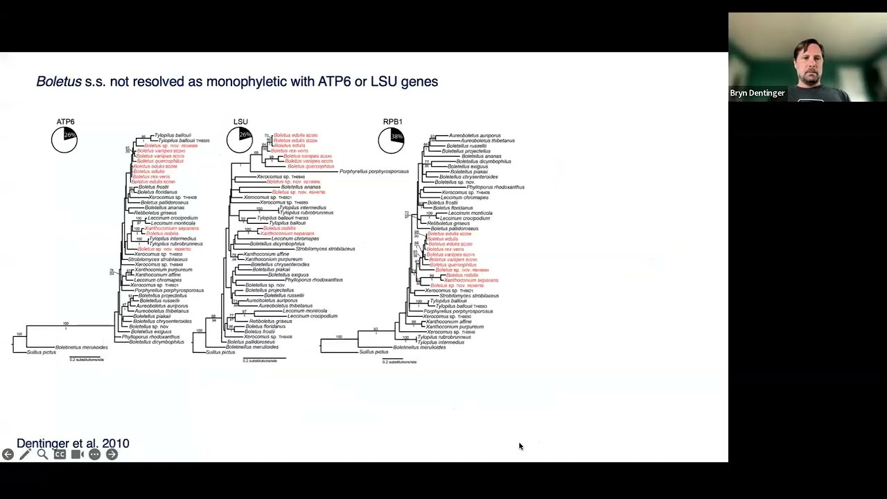 Using phylogenomics to resolve the evolutionary radiation of Boletaceae by Bryn Dentinger