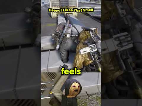 Peanut Likes That Smell Peanut Theburntpeanut 