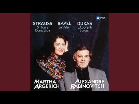 Sinfonia Domestica, Op. 53: Scherzo. Munter (Arr. Singer For 2 Pianos)