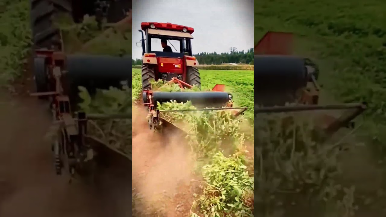 smart machine that works well to harvest peanuts in large fields 