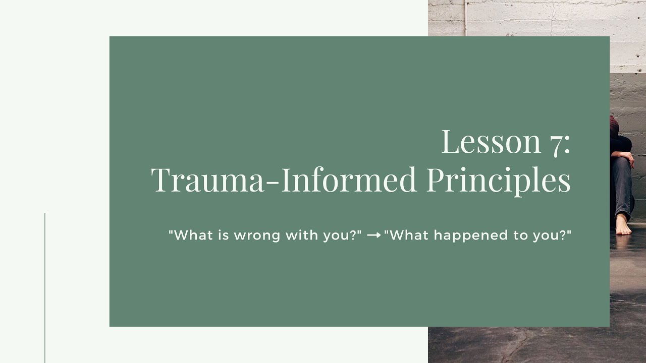 Creating a Trauma Informed Library - Module 3: Lesson 7 - YouTube