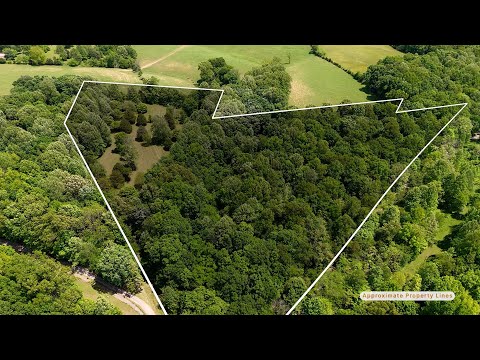 1137 James Brown Rd, Westmoreland, TN home video tour