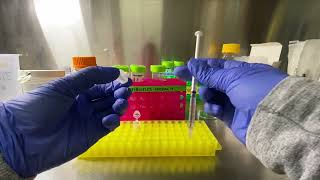 Filter Sterilization