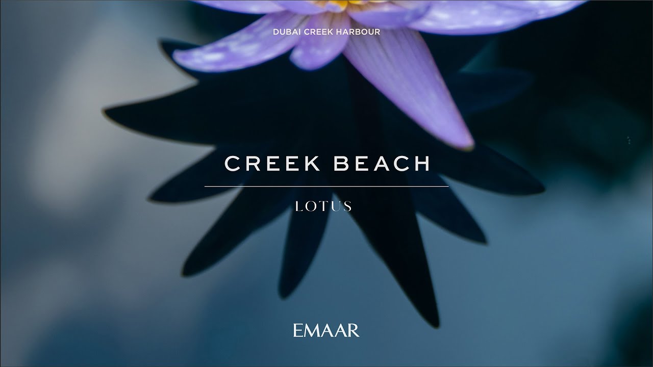 LOTUS CREEK BEACH TEASER