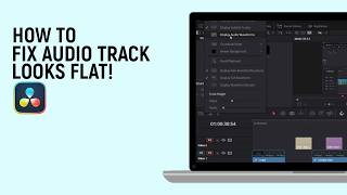 How to fix Audio Track looks flat in DaVinci Resolve Timeline